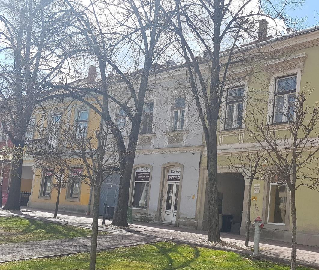 Via Tokaj Vendeghaz Apartment Satoraljaujhely Ngoại thất bức ảnh