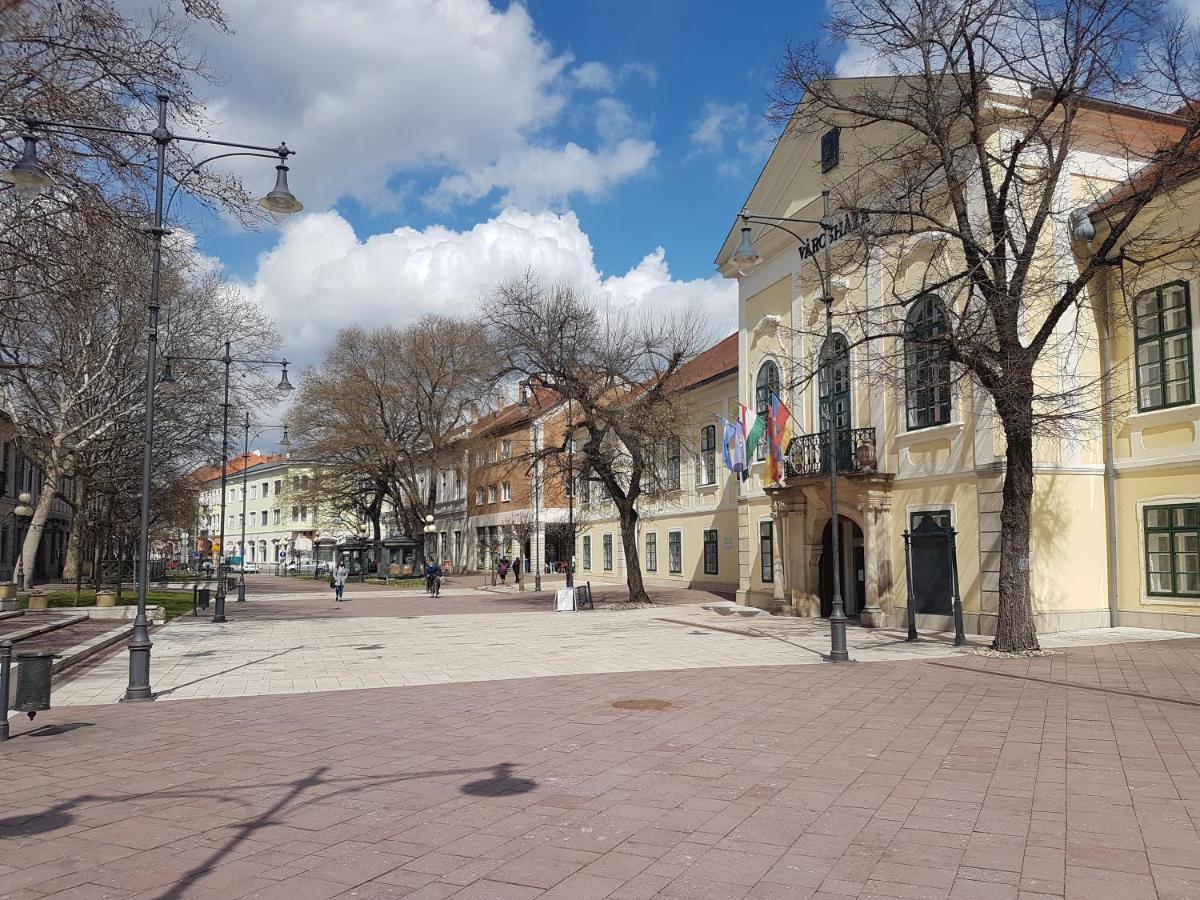 Via Tokaj Vendeghaz Apartment Satoraljaujhely Ngoại thất bức ảnh