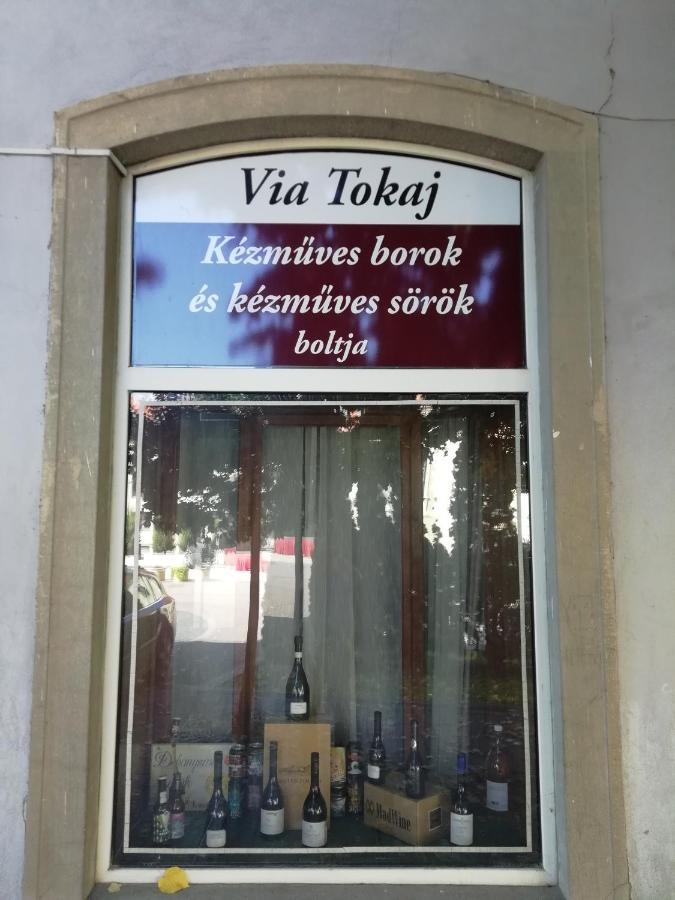 Via Tokaj Vendeghaz Apartment Satoraljaujhely Ngoại thất bức ảnh
