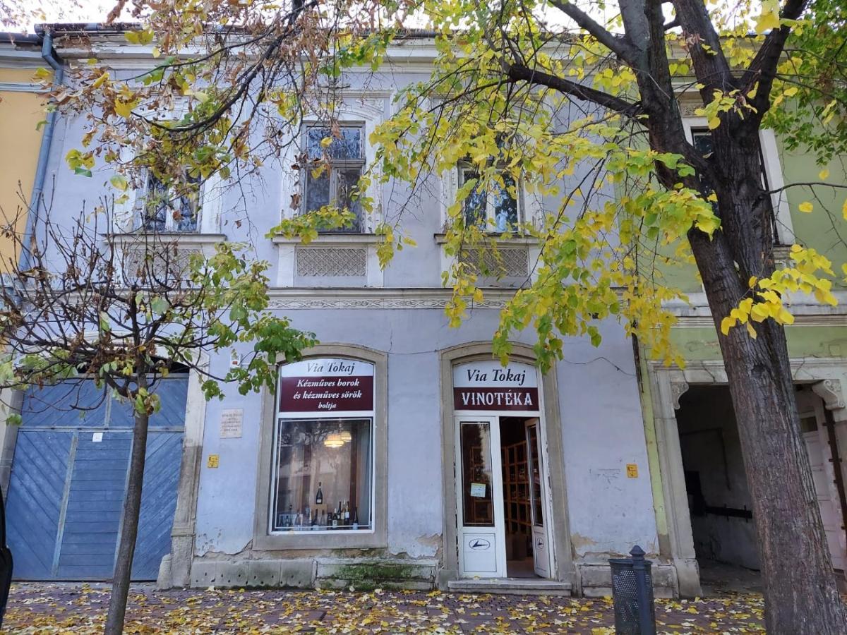 Via Tokaj Vendeghaz Apartment Satoraljaujhely Ngoại thất bức ảnh